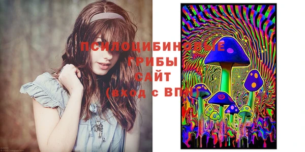 Альфа ПВП Алексеевка