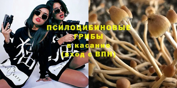 винт Алзамай
